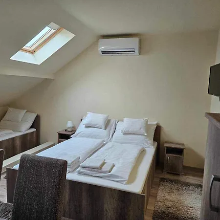 Ildiko Vendeghaz Szabolcs